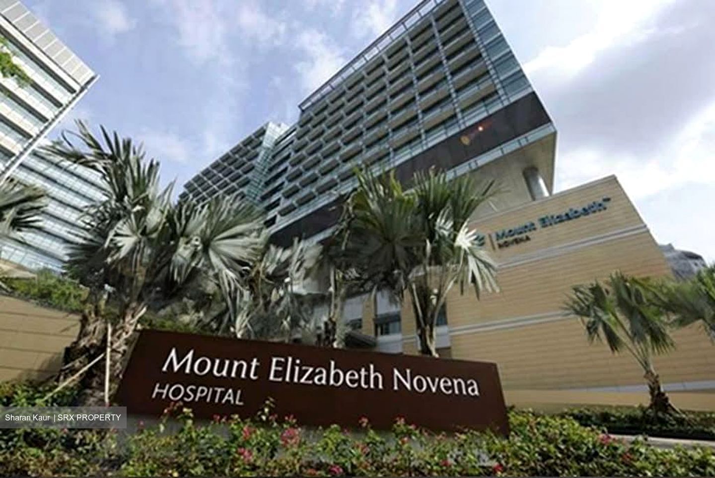 Mount Elizabeth Novena Hospital (D12), Retail #557269711